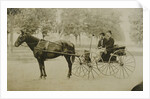 William and Henry Titus in Prospect Park, Brooklyn NY USA by American Photograph Company