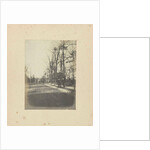 Jan C. Schüller and another man on the street during the World's Fair in St. Louis (Louisiana Purchase Exposition), 1904, USA by Anonymous