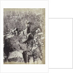 Plant Study by Hugh Owen