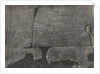 Demotic inscription, Isis Temple, Philae by Anonymous