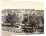 View Hebron, Israel by Frank Mason Good