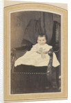 Photo album of a Dutch family with 168 cartes-de-visite and cabinet pictures by A. Böeseken