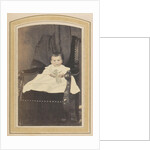 Photo album of a Dutch family with 168 cartes-de-visite and cabinet pictures by A. Böeseken