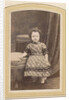 Photo album of a Dutch family with 168 cartes-de-visite and cabinet pictures by R. Becher