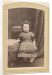 Photo album of a Dutch family with 168 cartes-de-visite and cabinet pictures by R. Becher