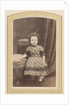 Photo album of a Dutch family with 168 cartes-de-visite and cabinet pictures by R. Becher
