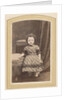 Photo album of a Dutch family with 168 cartes-de-visite and cabinet pictures by R. Becher