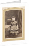 Photo album of a Dutch family with 168 cartes-de-visite and cabinet pictures by R. Becher