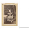 Photo album of a Dutch family with 168 cartes-de-visite and cabinet pictures by R. Becher