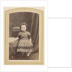 Photo album of a Dutch family with 168 cartes-de-visite and cabinet pictures by R. Becher