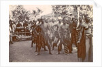Festive dressed Indian men with gamelan in Ambon, Indonesia by Anonymous