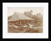 Man and woman posing for a house with a garden in Ambon, Indonesia by Anonymous