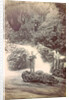 Guitar playing man at a waterfall at Batu Gantong in Ambon, Indonesia by Anonymous