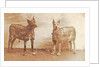 Portrait two dogs toymaker with advertising copy for perfumeries by Anonymous