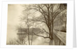 Flooded Seine River with trees, boats and public during flooding of Paris, France by Anonymous