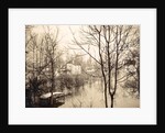 house flooded suburb of Paris seen through bare trees, France by Anonymous