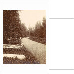 Family Album including pictures of Wijnhandel Kraaij & Co. Bordeaux Amsterdam by Anonymous