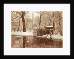Swans in a pond in a snowy park by Anonymous