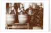Brouwer and attendants cleaning bottles at a bottle drying rack by Anonymous
