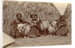 Tibetan women with goats for haystacks by D.T. Dalton