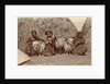 Tibetan women with goats for haystacks by D.T. Dalton