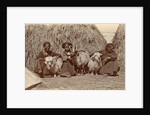 Tibetan women with goats for haystacks by D.T. Dalton
