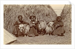 Tibetan women with goats for haystacks by D.T. Dalton