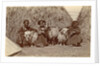 Tibetan women with goats for haystacks by D.T. Dalton