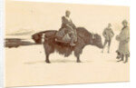 Man on a yak in Tibet by D.T. Dalton