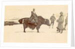 Man on a yak in Tibet by D.T. Dalton