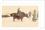 Man on a yak in Tibet by D.T. Dalton