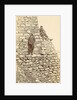 Two men on a wall of the fortress of Pharijong by D.T. Dalton