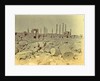 View of ruins of Persepolis by Antoine Sevruguin