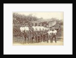 Group of Indian boys with the right arm outstretched, allowing dancers by Anonymous