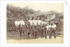 Group of Indian boys with the right arm outstretched, allowing dancers by Anonymous
