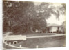 Driveway to a villa in the Dutch East Indies by Anonymous