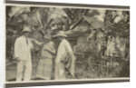 Family Album Dutch East Indies, Indonesia by Anonymous