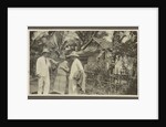 Family Album Dutch East Indies, Indonesia by Anonymous