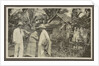 Family Album Dutch East Indies, Indonesia by Anonymous