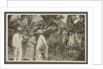 Family Album Dutch East Indies, Indonesia by Anonymous