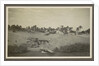 View of a village with a water pool and palm trees on a shore by Anonymous