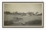 View of a village with a water pool and palm trees on a shore by Anonymous