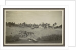 View of a village with a water pool and palm trees on a shore by Anonymous