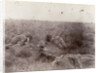 Englishmen slain at Spioencup,the battle of Spion Kop, Second Boer War by Anonymous