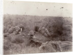 Englishmen slain at Spioencup,the battle of Spion Kop, Second Boer War by Anonymous