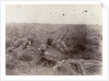 Englishmen slain at Spioencup,the battle of Spion Kop, Second Boer War by Anonymous