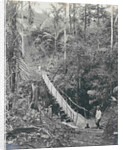 Sumatra indonesia, suspension bridge at Gunung Rintel by Carl J. Kleingrothe