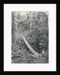 Sumatra indonesia, suspension bridge at Gunung Rintel by Carl J. Kleingrothe