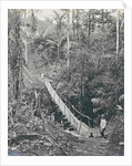 Sumatra indonesia, suspension bridge at Gunung Rintel by Carl J. Kleingrothe