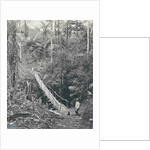 Sumatra indonesia, suspension bridge at Gunung Rintel by Carl J. Kleingrothe